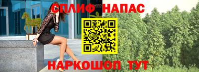 кокс Моздок